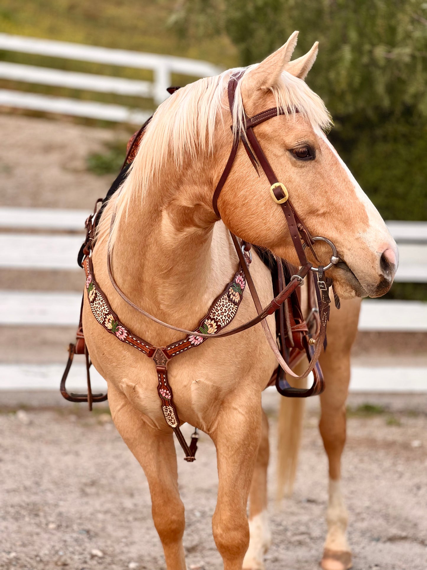 Cactus Cheetah Breast Collar