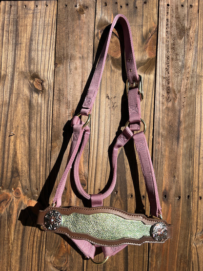 Metallic Green Noseband on Lavender Halter