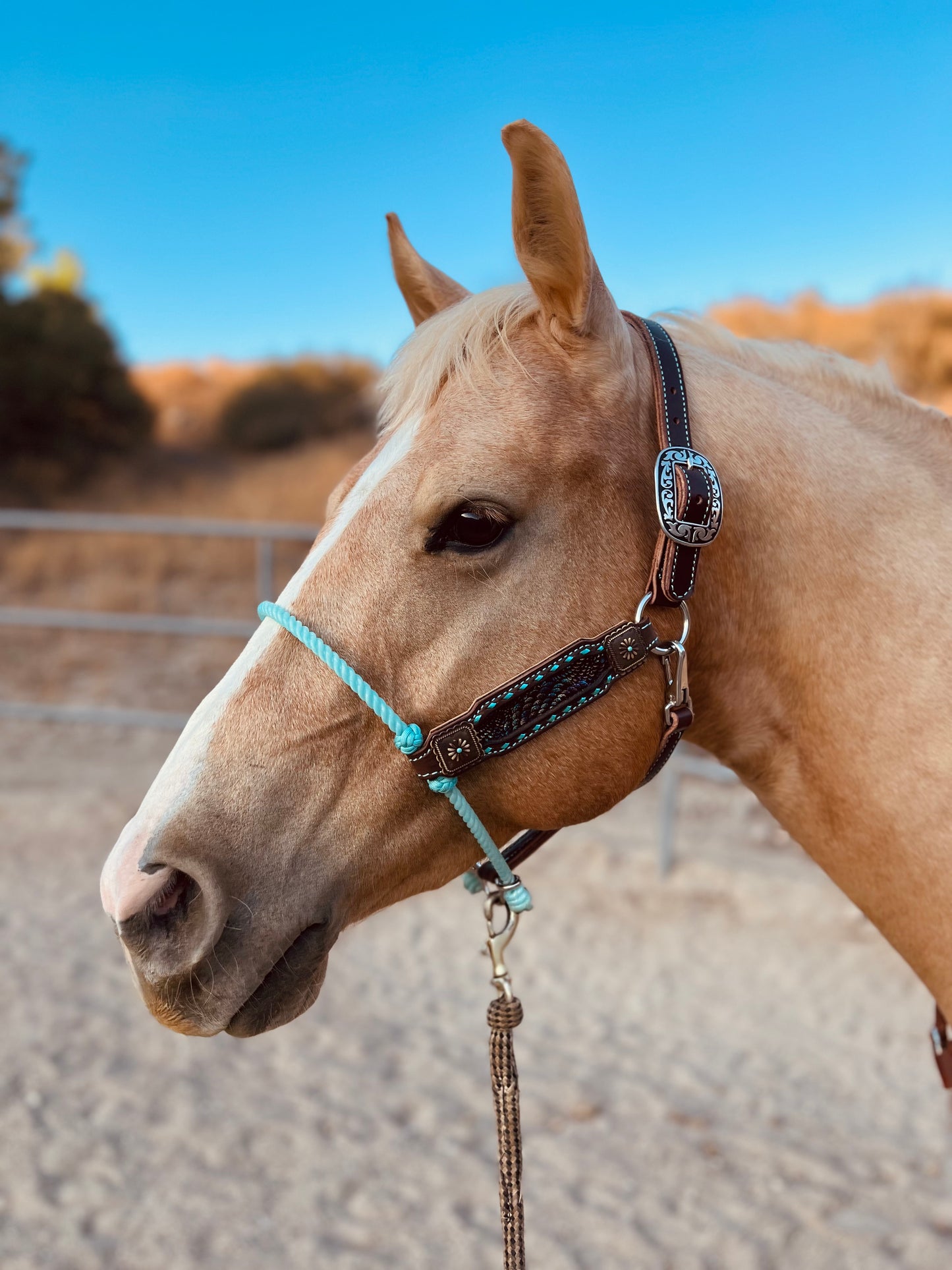 Turquoise Dragon Scale Lariat Halter