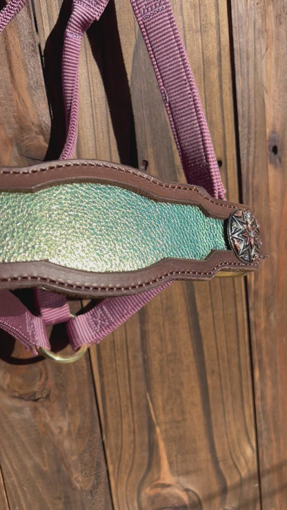 Metallic Green Noseband on Lavender Halter